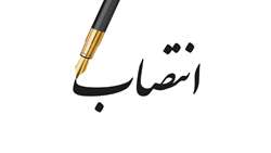 سه انتصاب در دانشگاه علوم پزشکی سبزوار رئیس دانشگاه علوم پزشکی سبزوار