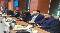 دکتر عین اللهی در اجلاس مدیران روابط عمومی دانشگاه ها و دانشکده های علوم پزشکی کشور عنوان کرد: