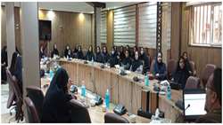  برگزاری جلسه فصلی کارشناسان واحد سلامت مادران شهرستان های تحت پوشش دانشگاه علوم پزشکی سبزوار.