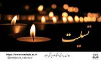 درگذشت برادر خانم، همکار محترم آقای علی عباسی، بهورز قلعه میدان