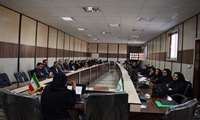برگزاری کارگاه آموزشی خدمات نوین میانسالی در داورزن