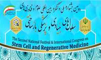 دومین جشنواره ملی و کنگره بین المللی علوم و فناوری های سلولهای بنیادی و پزشکی بازساختی