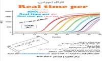 برگزاری کارگاه Real-Time PCR