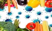راهنمای تغذیه در واکسیناسیون علیه ویروس کرونا ابلاغ شد