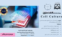 وبینار مقدماتی کشت سلولی