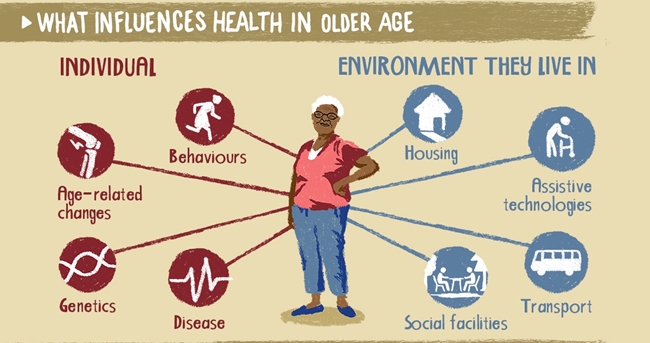 healthy-ageing-infographic2.jpg 