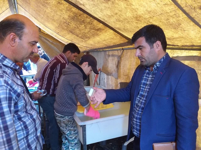 بازدید دهه آخر صفر 