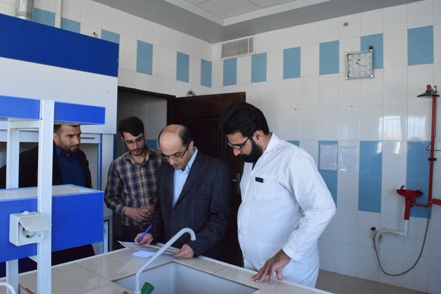 بازدید سرزده