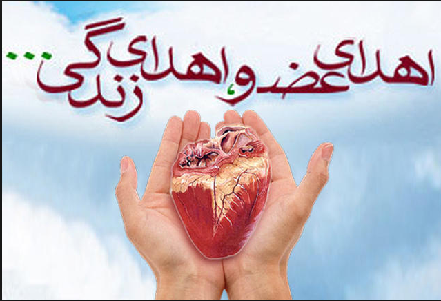اهدای عضو، ناجی جان ۵۷ بیمار در سبزوار/ شاخص اهدای عضو در سبزوار بالاتر از میانگین کشوری است اهدای عضو، ناجی جان ۵۷ بیمار در سبزوار/ شاخص اهدای عضو در سبزوار بالاتر از میانگین کشوری است