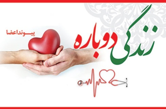 حیات دوباره 3 بیمار با اهدای عضو بیمار مرگ مغزی در سبزوار حیات دوباره 3 بیمار با اهدای عضو بیمار مرگ مغزی در سبزوار